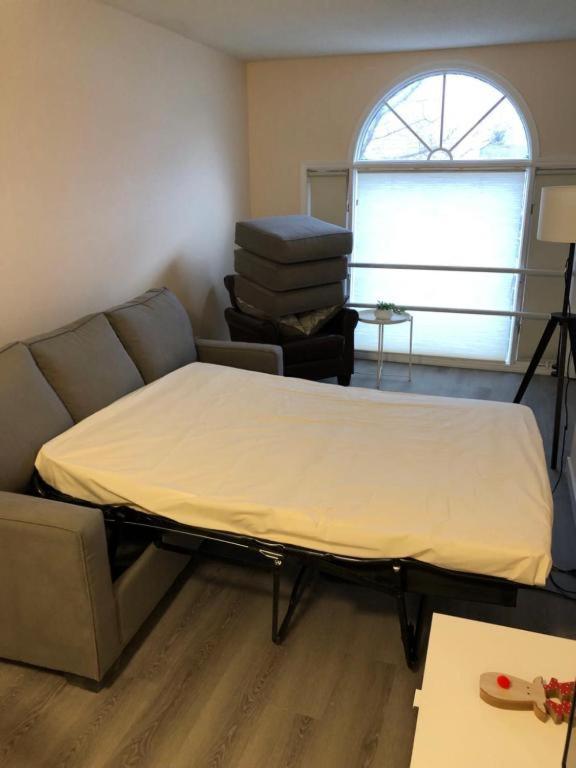 #304 Mountain View 1Br In Canmore Dt Экстерьер фото